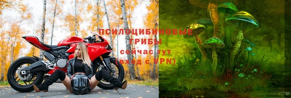 гашик Козловка