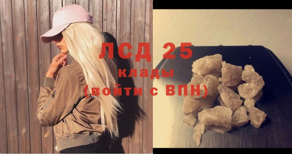 гашик Козловка